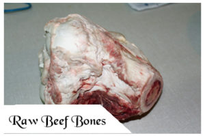 Raw Beef Bones